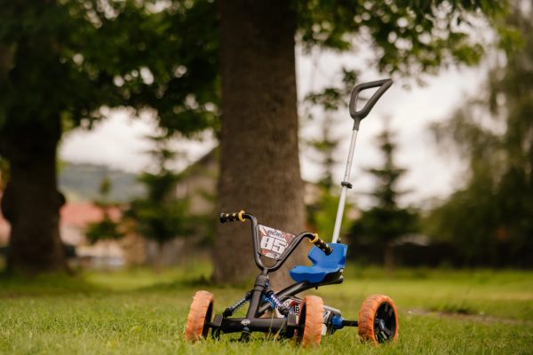 Berg Buzzy Nitro 2 in 1